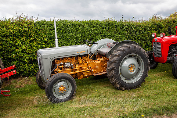 Welick TR19-11
