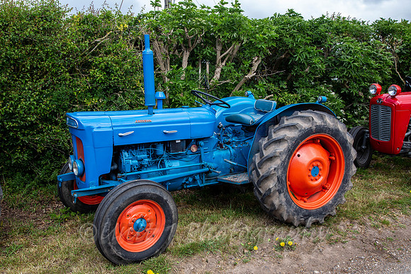 Welick TR19-4