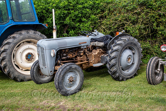 Welick TR19-19