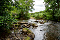 N Yorks TR